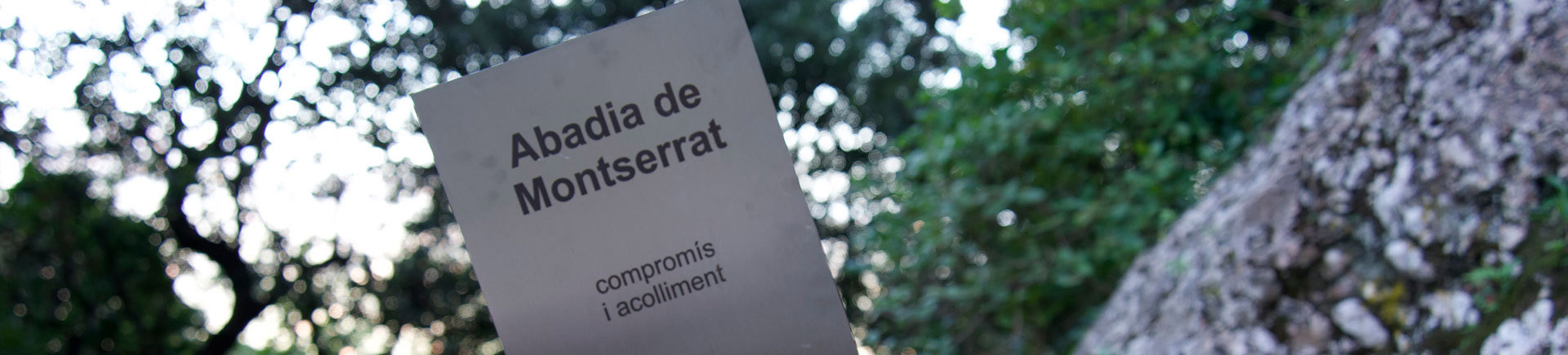 14. El Llibre d'Organyà