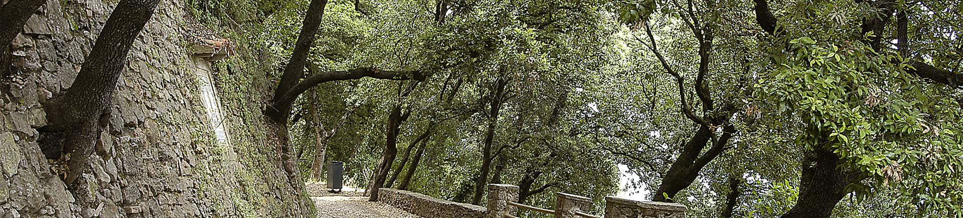  10. La Mola i el Montcau