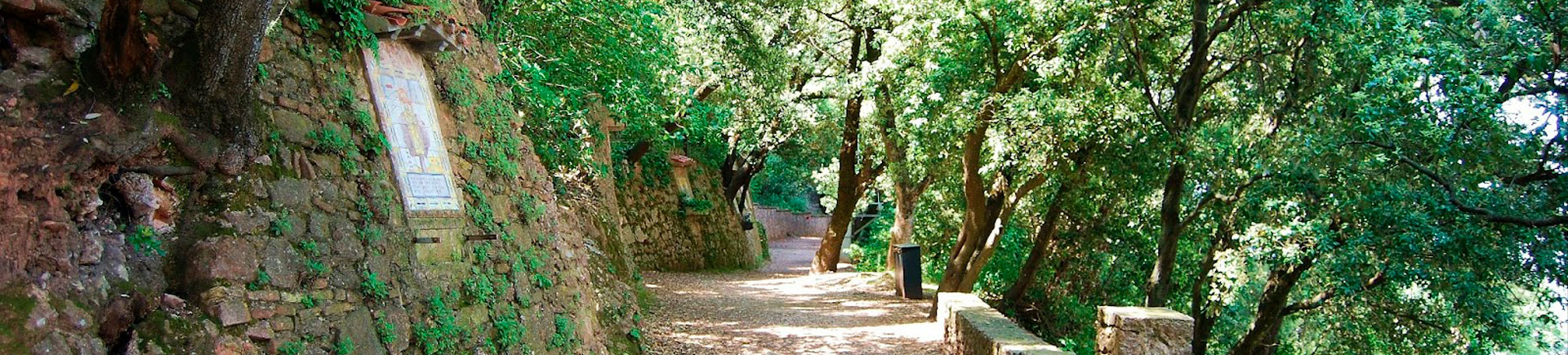15. Mare de Déu de l'Alba